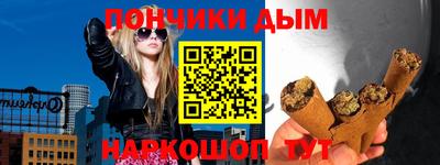 индика Ноябрьск