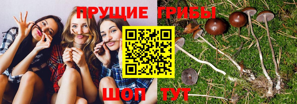 Галлюциногенные грибы мицелий  Галлюциногенные грибы MAGIC MUSHROOMS  Вход с VPN  Омск 