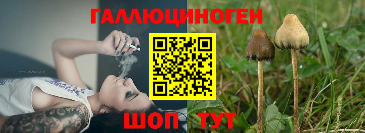 Галлюциногенные грибы мухоморы Омск
